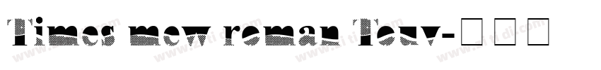 Times mew roman Touv字体转换